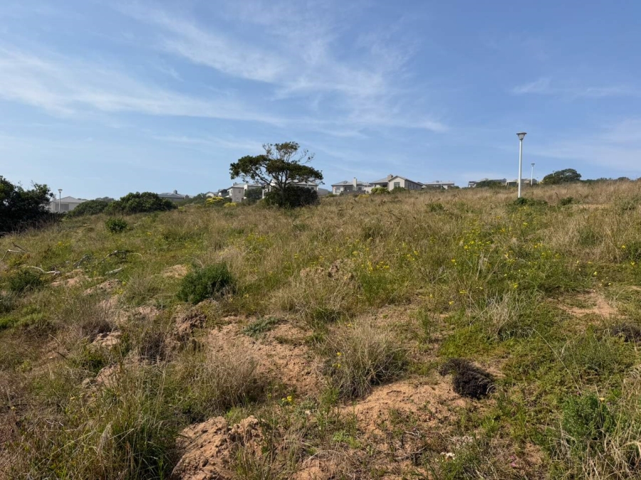 0 Bedroom Property for Sale in Reebok Western Cape